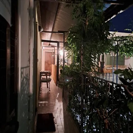 Musa Paradisiaca 6, Un Angolo Tropicale A *