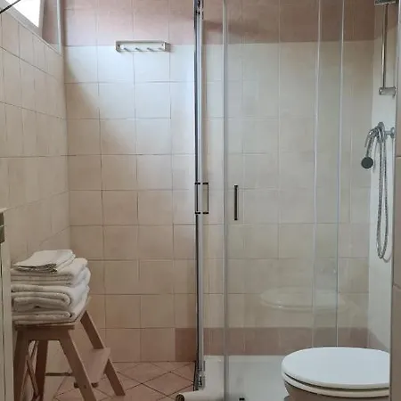 Musa Paradisiaca 6, Un Angolo Tropicale A