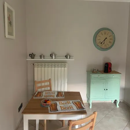 Musa Paradisiaca 6, Un Angolo Tropicale A Torino