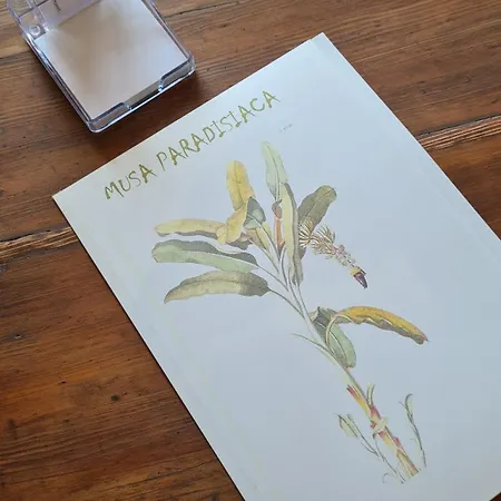 아파트 Musa Paradisiaca 6, Un Angolo Tropicale A *