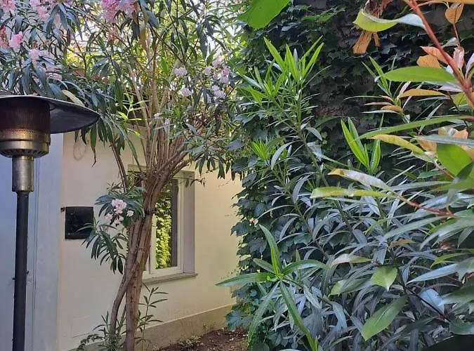 Διαμέρισμα Musa Paradisiaca 6, Un Angolo Tropicale A Τορίνο