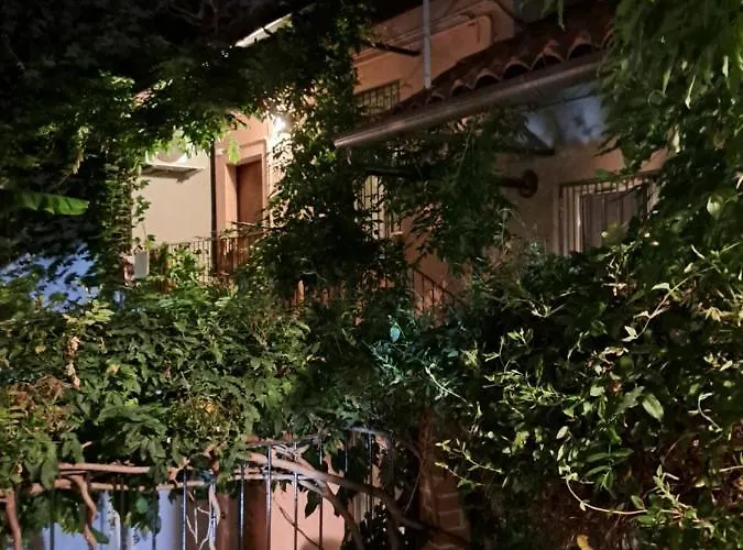 Musa Paradisiaca 6, Un Angolo Tropicale A Τορίνο