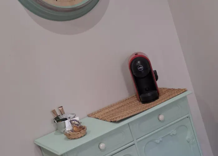 Musa Paradisiaca 6, Un Angolo Tropicale A * Τορίνο