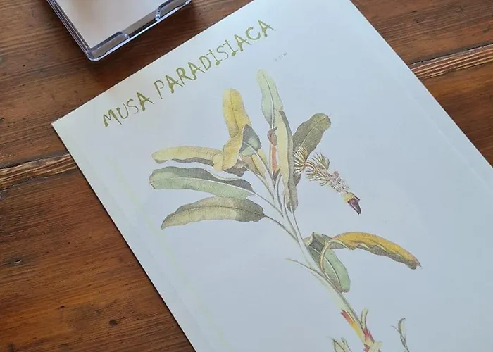 Διαμέρισμα Musa Paradisiaca 6, Un Angolo Tropicale A *