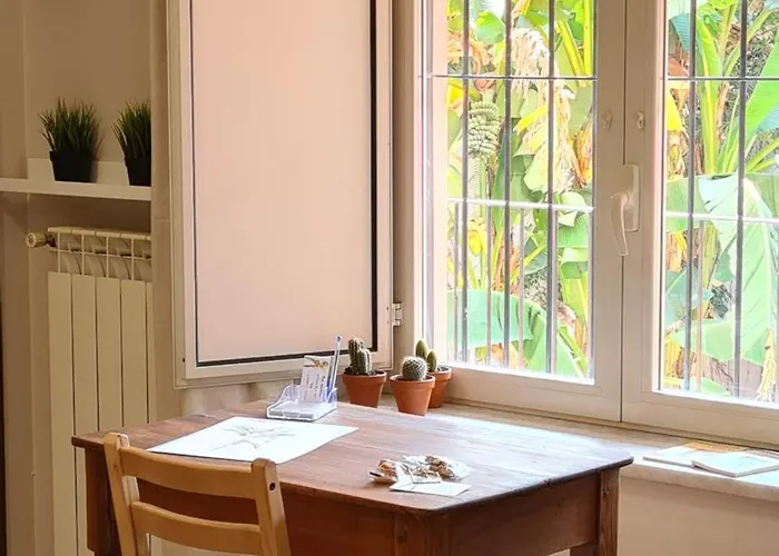 Musa Paradisiaca 6, Un Angolo Tropicale A Τορίνο