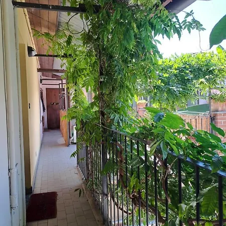 Musa Paradisiaca 6, Un Angolo Tropicale A Appartement