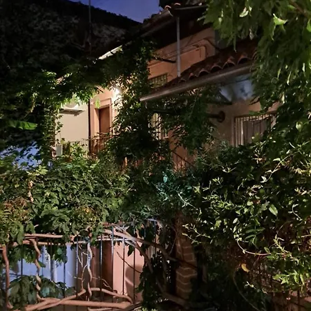 Musa Paradisiaca 6, Un Angolo Tropicale A Turijn